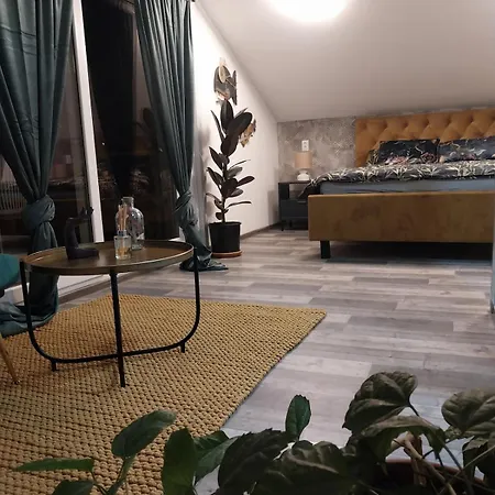 Olive Garden House Villa Petrovaradin